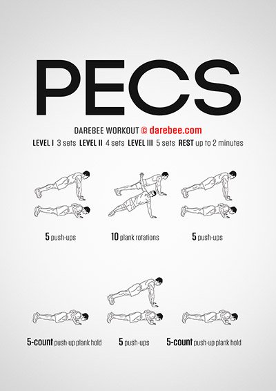 Pecs Workout