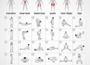 Stretching Exercises | Chart